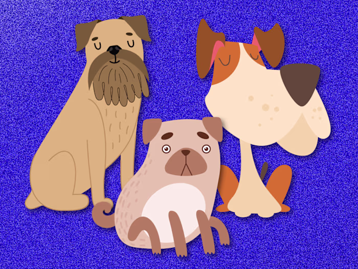 A 20-second motion design project