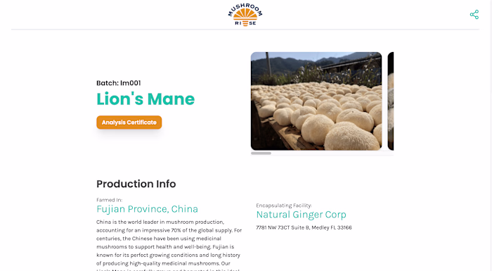 Mushroom Rise | Web Development