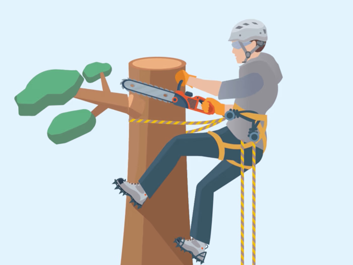 2D Animation for Insurance Company