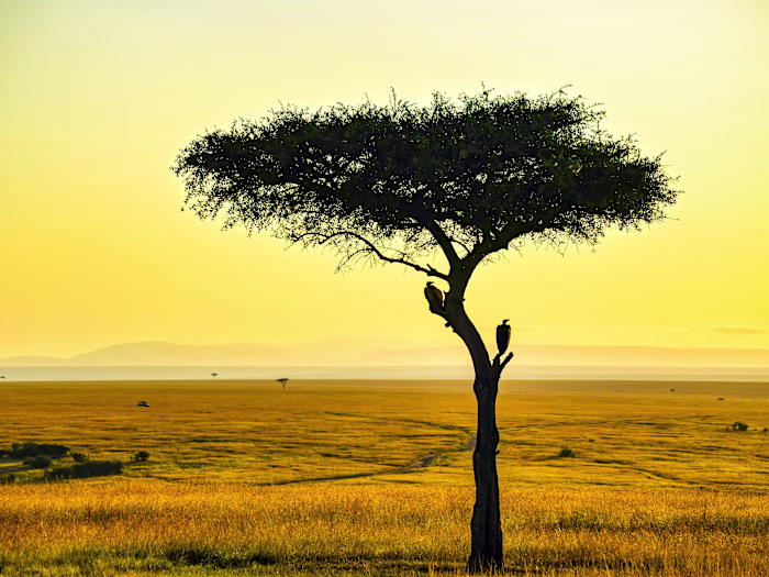 A web app for marketing land on sale.