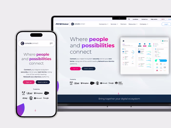 ConsoleConnect Website Design