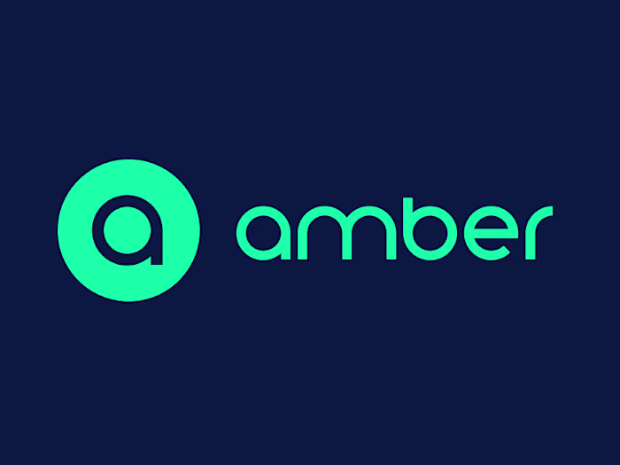 Amber Electric. DTC Social Campaigns