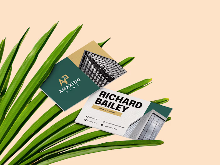 Business Cards Designs