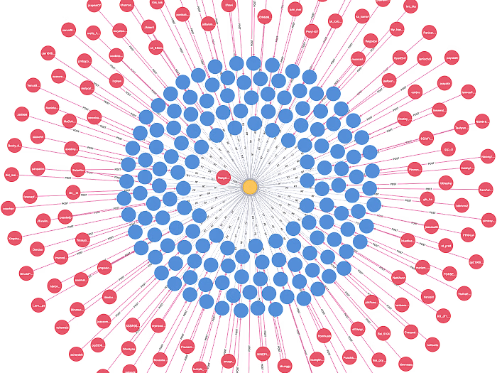 Graph & Vector Database Architectire Development
