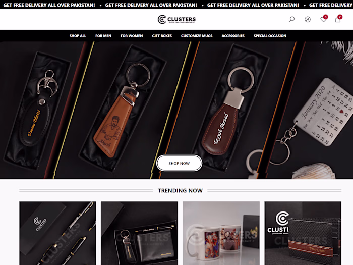 I will professional shopify fashion store and your dream Store 