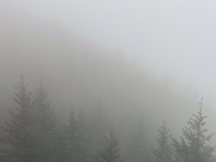 The Philosophy of Winnie the Pooh: Benjamin Hoff’s Guide to Tao…