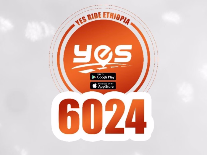 Logo and Brand Identity and Web Design