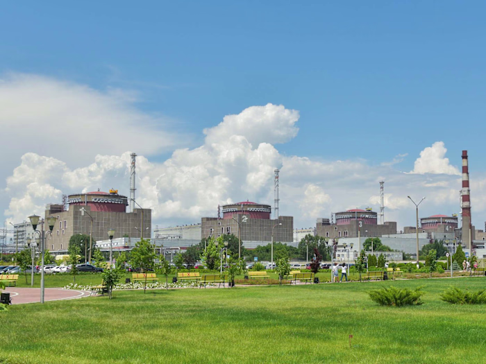 Insight articles for BBC