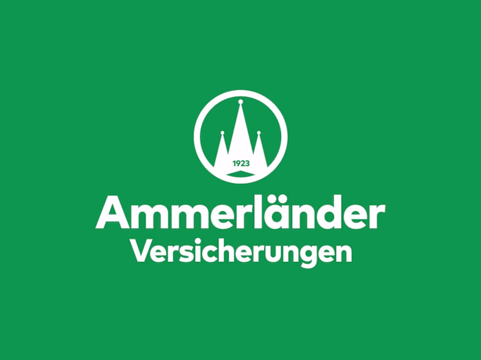 Logo Redesign Insurance