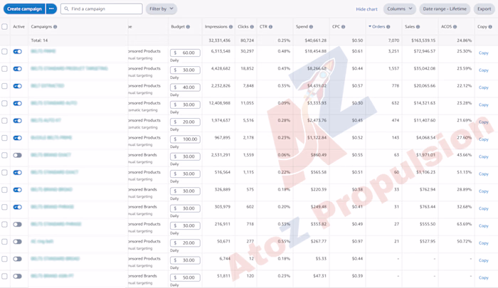 Managing a niche accessory portfolio on Amazon.com