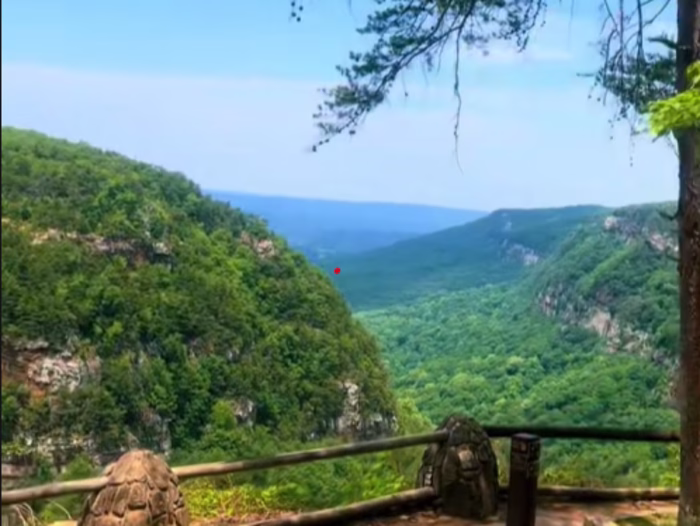 TikTok - Make Your Day