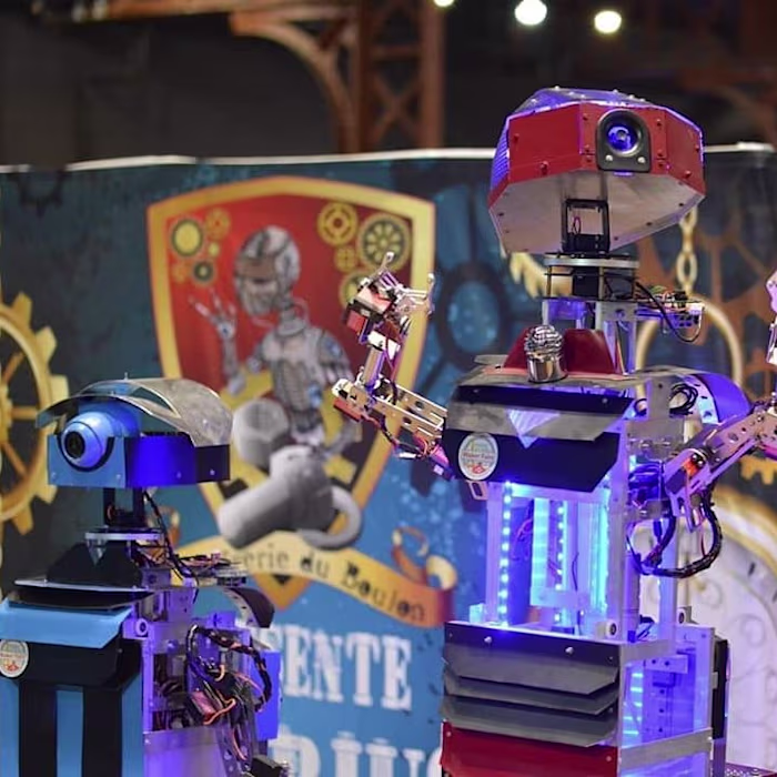 Creation of the Hector, Mira and N3M0 robots