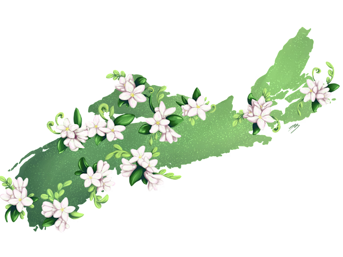 NSCCAU Mayflower Card | Print