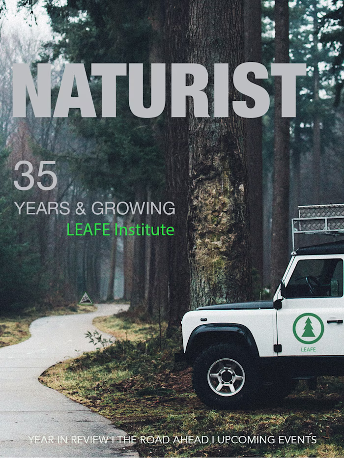 Mock-up Magazine Cover