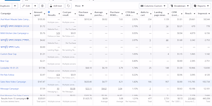 Facebook Ads Campaign 266+ Sales in 15 days