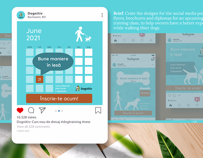 Social Media Posts + Print materials for a Dog Waking Class 