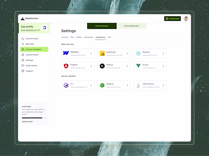 Developer-Friendly SaaS Integration & API Settings UI