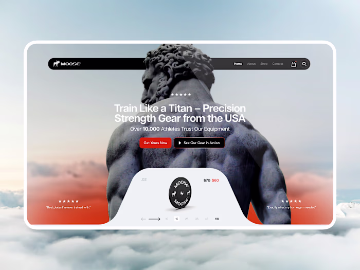 Website Design - Moose 