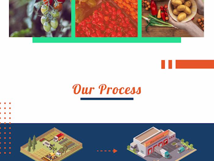 Bhavani Agro Export Website