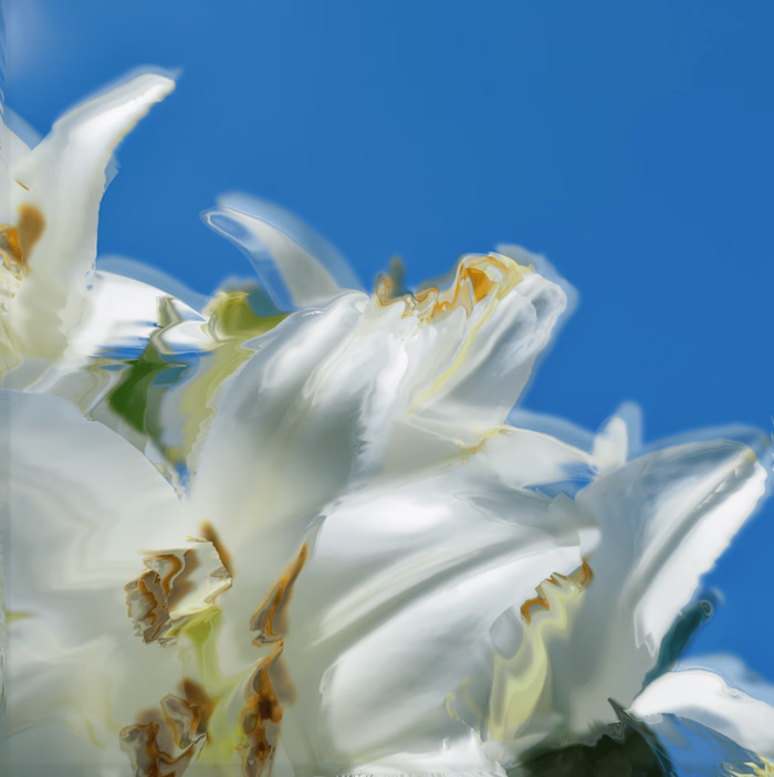 Sustainable Innovation: Series of Generative Artworks