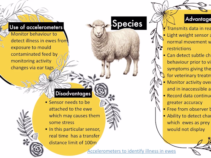 Need a presentation?