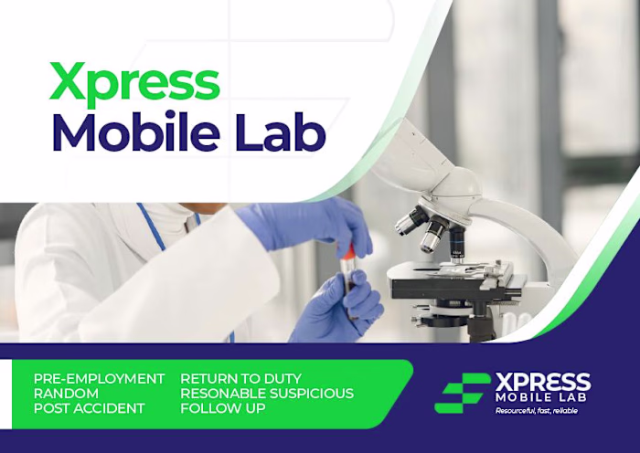 Brand Identity Designs