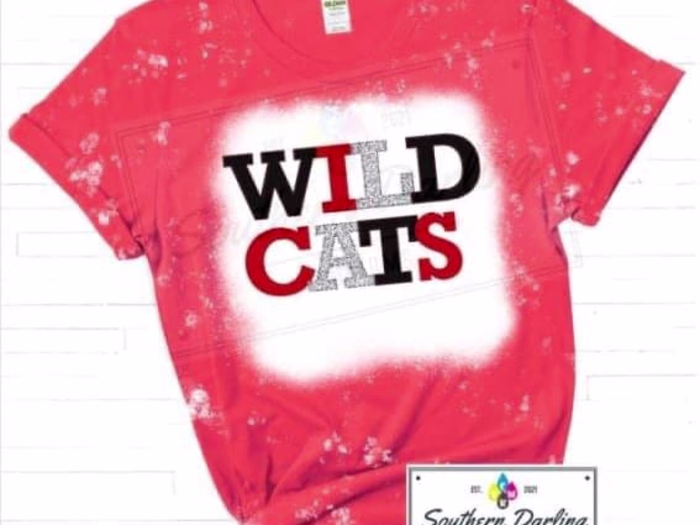 Custom Bleached Shirts 