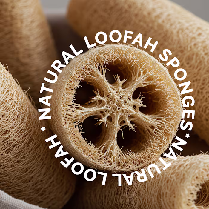 Social Media Posts Natural Sponges