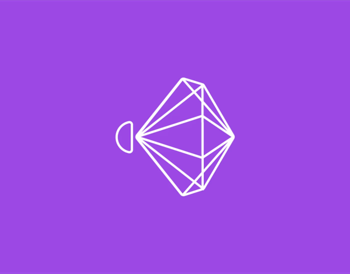 Agence Eclat Branding