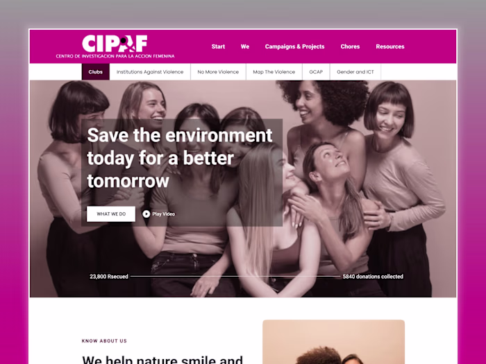Designing for Change — CIPAF Website UI