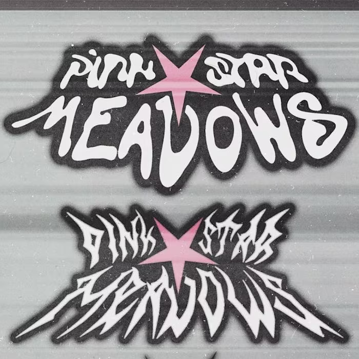 Streetwear Logo Design - Pinkstar Meadows