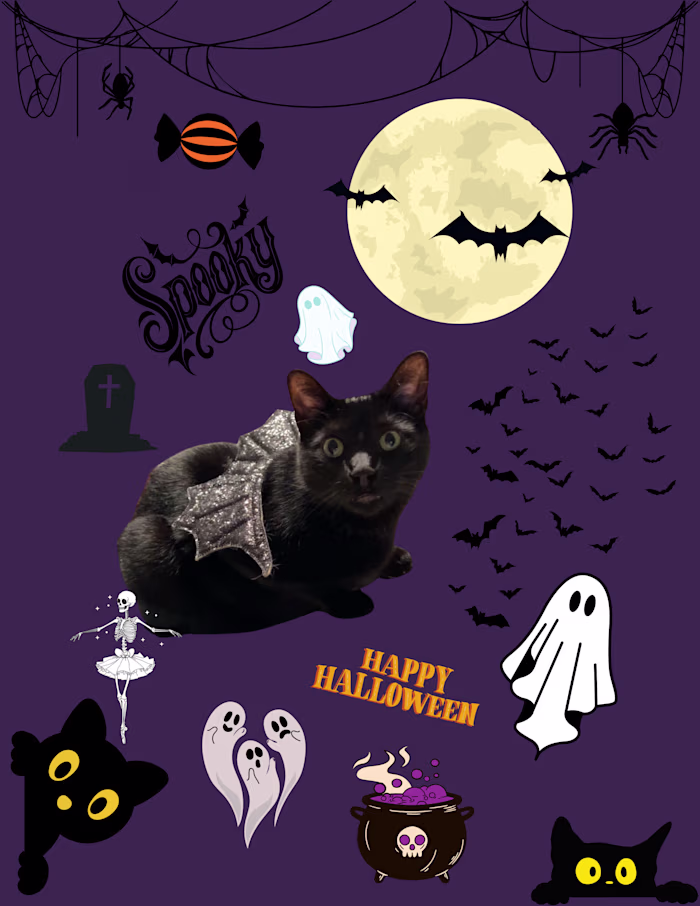 My little spooky boy