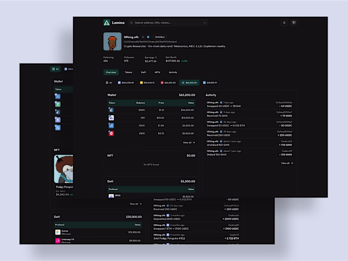 Lamina – NFT Portfolio Dashboard Development