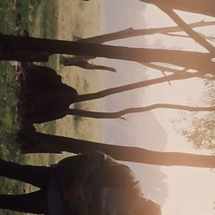 Sujay on Instagram: “Music 🖤
-14
#Trending #InstaGood #Concert…