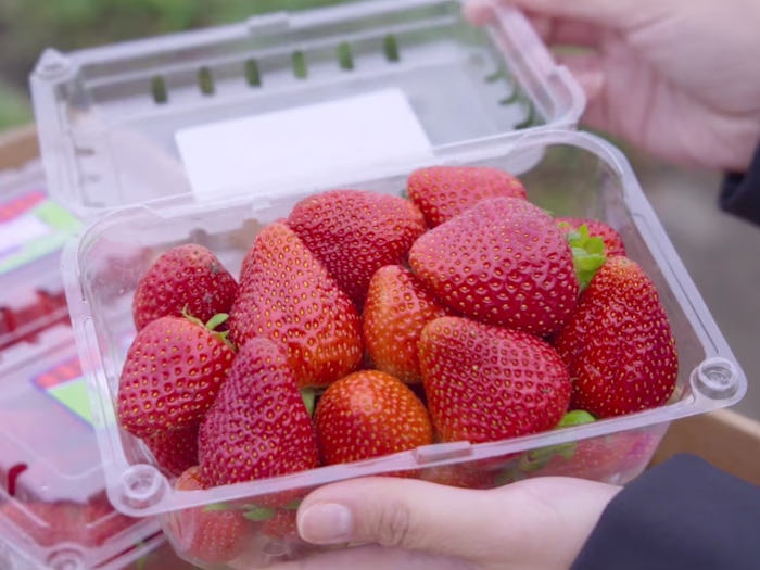 Huntington Farms (Nature’s Reward)