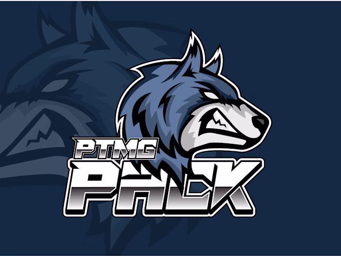 create a custom logo design mascot, cartoon, gaming, or sports.