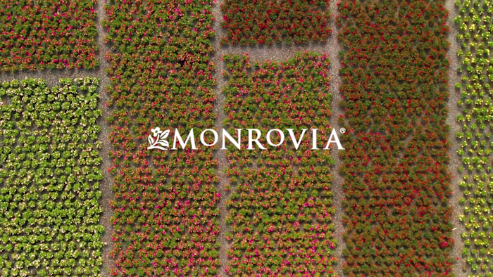 Monrovia Sales Sizzle Reel