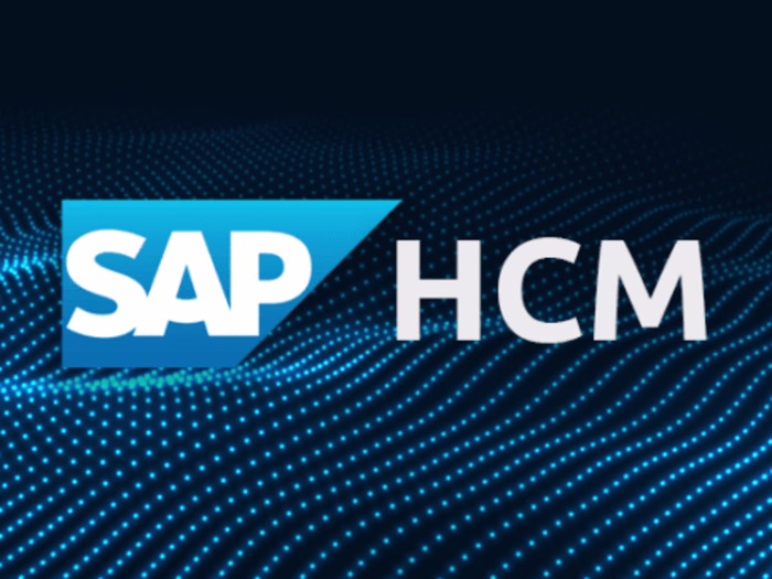 SAP-HCM System Support (Aug 2010 – Jul 2012)