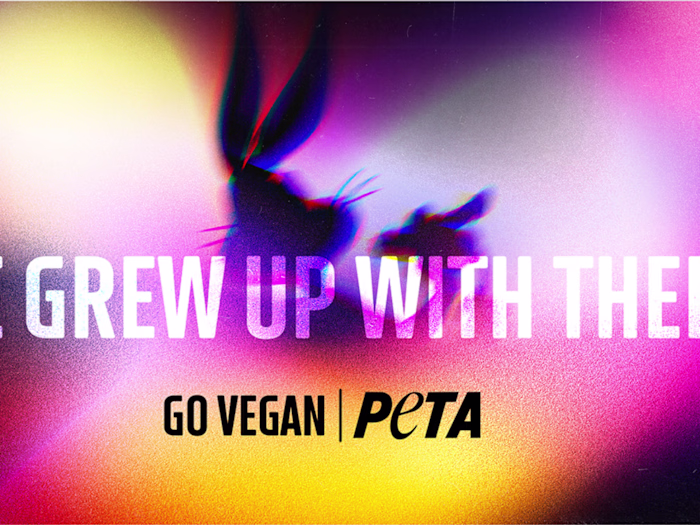 PETA | We Grew Up With Them :: Behance