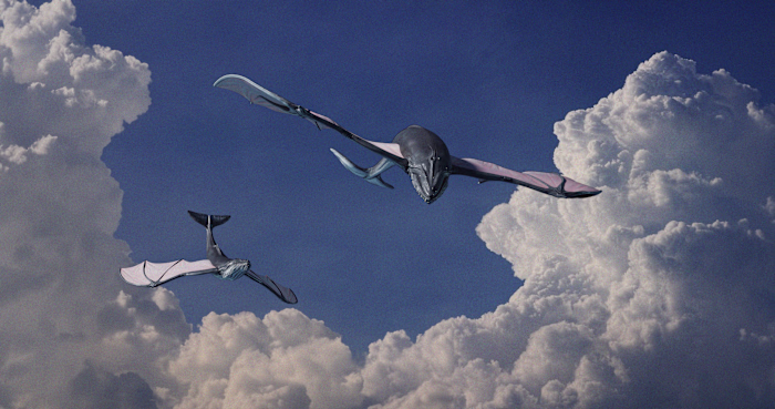 Megaptera Volantis - The Gliding