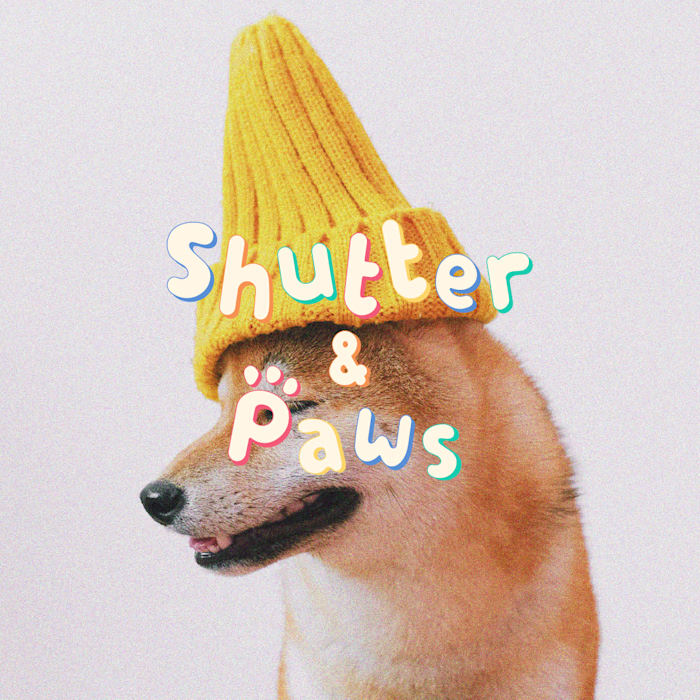 Brand Identity for Shutter & Paws - a pet photography studio