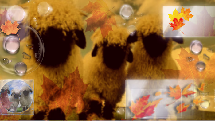 My Fall PC Wallpaper🍁🌂 : A break down of the Warm fall Ton...