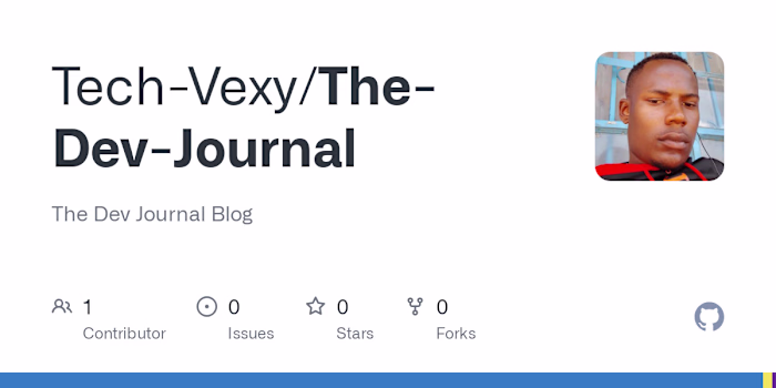 Next.js Project Development with Font Optimization