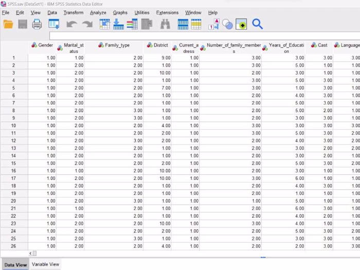 SPSS Data Analysis Support Project