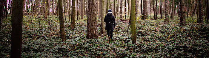 Biodiversity and Conservation Management Master’s Degree Takes …