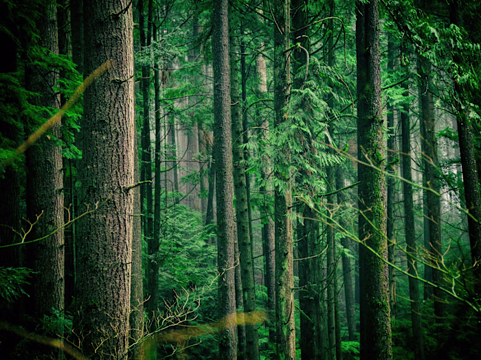 Lifestyle Brand Embracing Sustainability & Quality