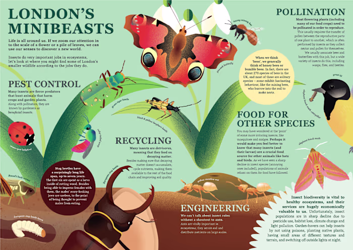 Biodiversity Layouts for Student Project