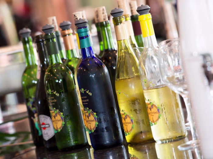 Nautivine Winery Brand Identity Development | Web Design