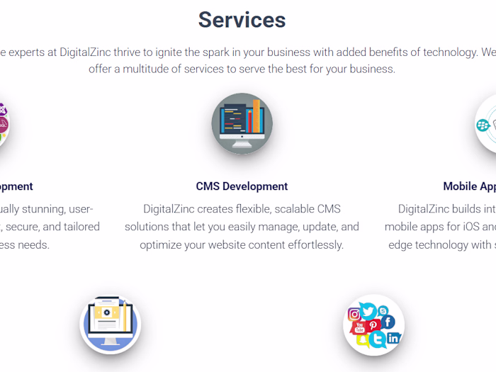 About Us - Digital Zinc