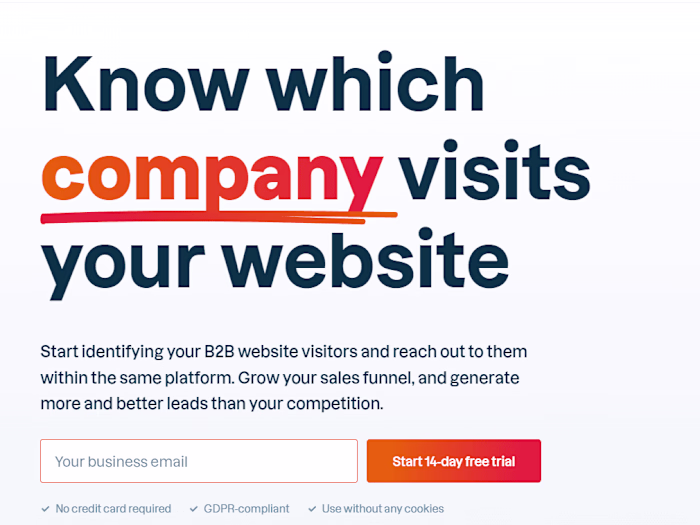 Leadinfo website copy